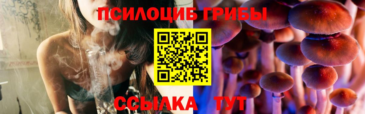 Псилоцибиновые грибы мицелий  Вход с VPN  Волжский 